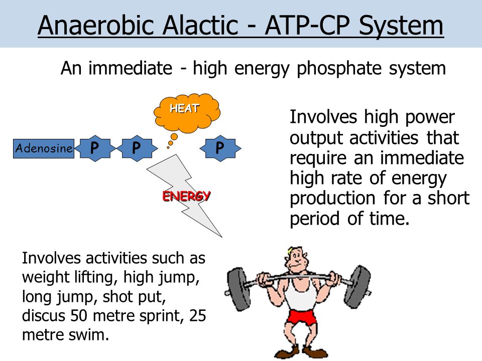 Energy Systems The ability to move work or play sports is